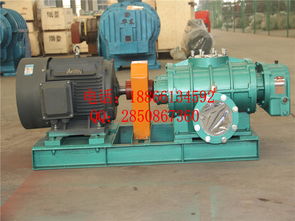 增氧羅茨風機在養(yǎng)殖業(yè)的應(yīng)用與過濾器的重要性