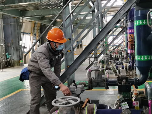 田東 防疫保供兩不誤 工業(yè)農業(yè)復工忙